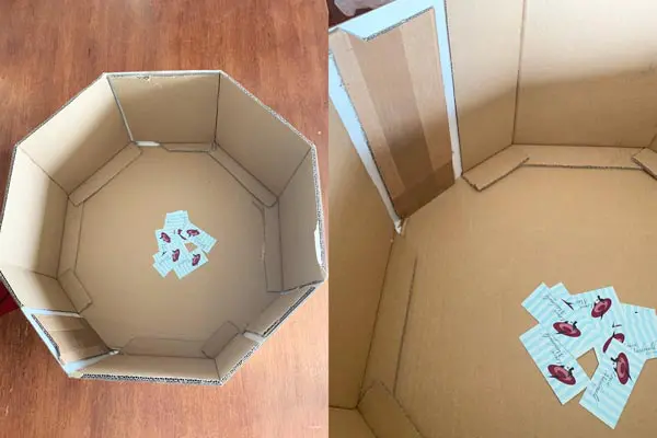 reinforced cardboard hat box