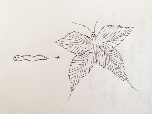 sketch of caterpillar turning into butterfly