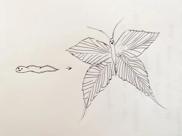 sketch of caterpillar turning into butterfly